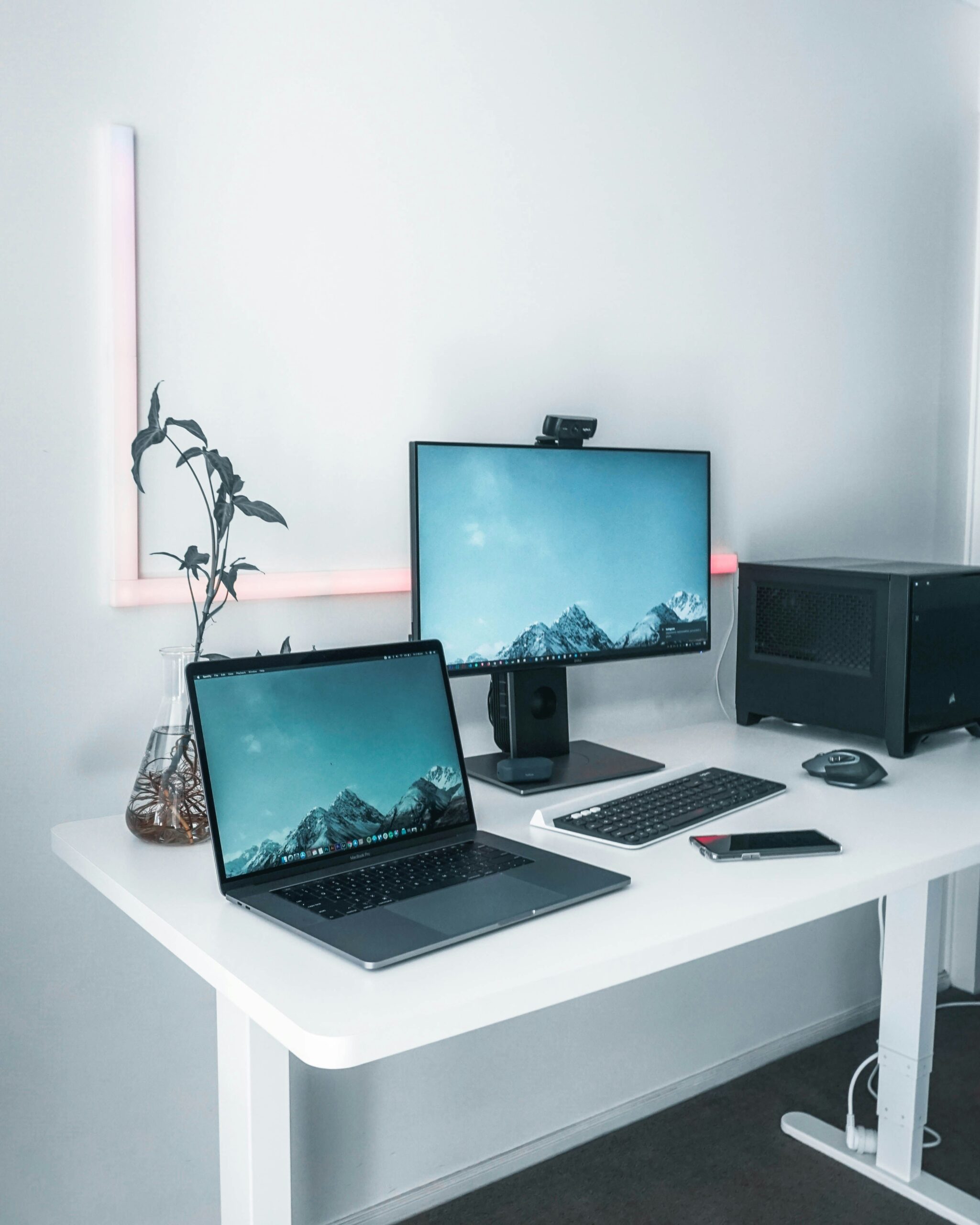 tarn nguyen xleafygdvv0 unsplash